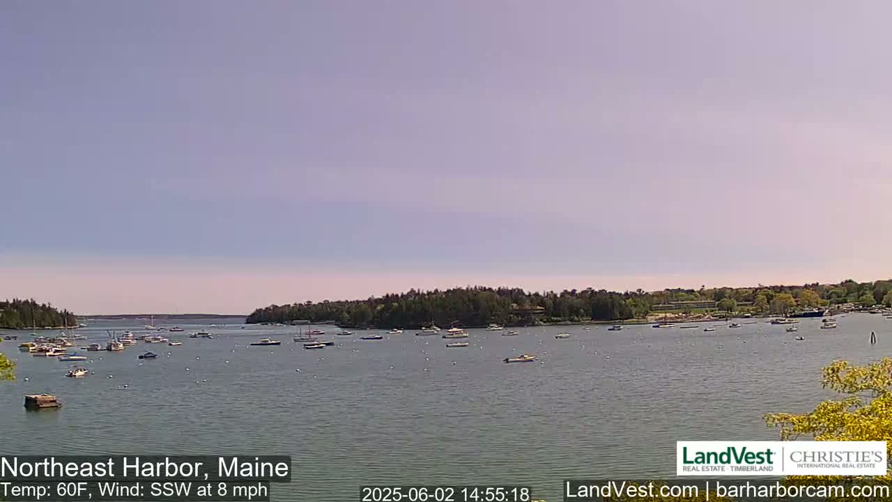 A calm harbor filled with numerous boats under a clear, light-blue sky, with a gentle south-southwesterly wind.