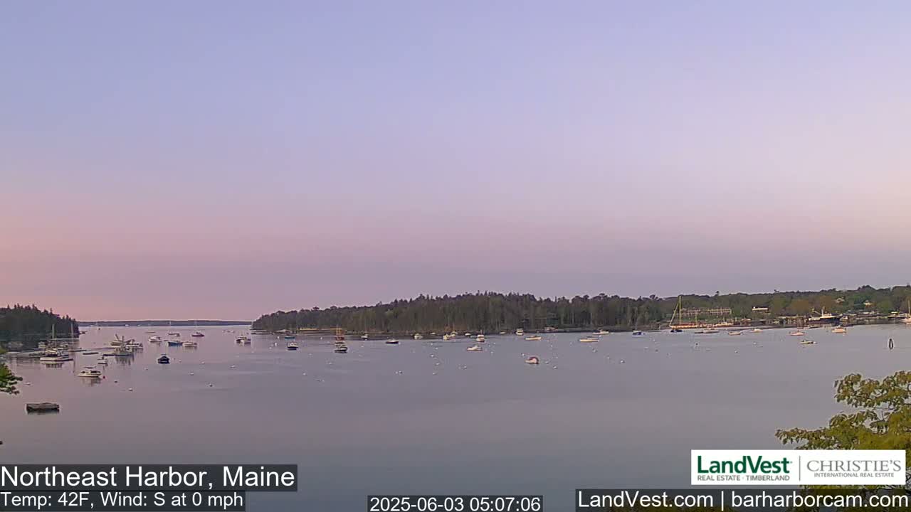 A calm harbor with numerous boats is visible under a pale pink and purple dawn sky.