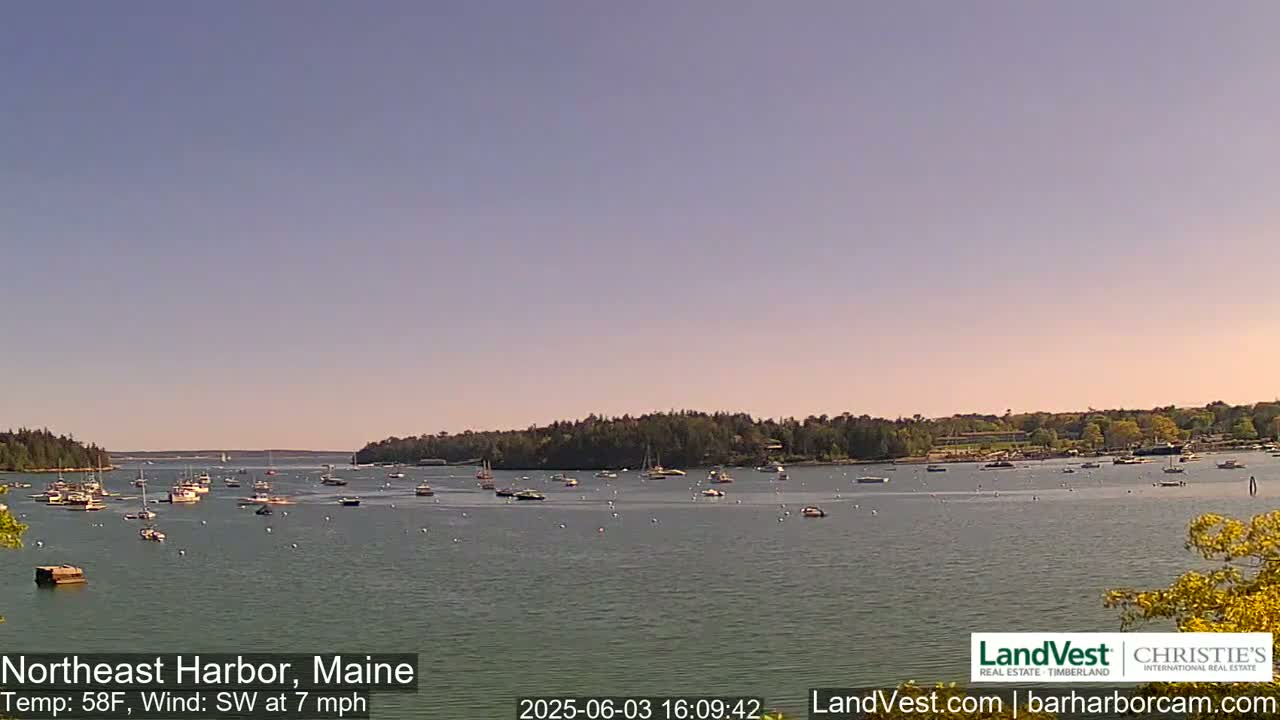 A calm harbor filled with numerous boats is seen under a clear, light-blue sky.