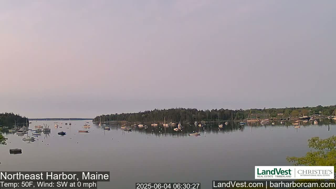 A calm harbor with numerous boats at anchor, under a light, pale sky.
