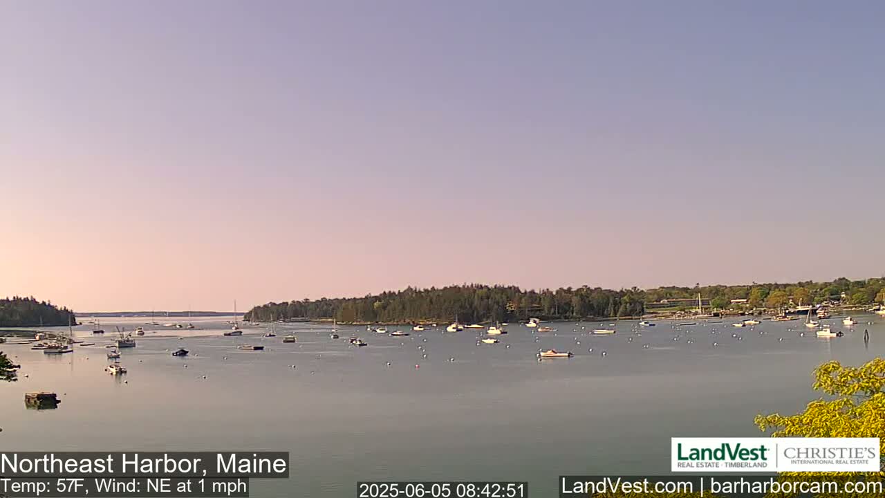 A calm harbor with numerous boats is seen under a pale, clear sky.