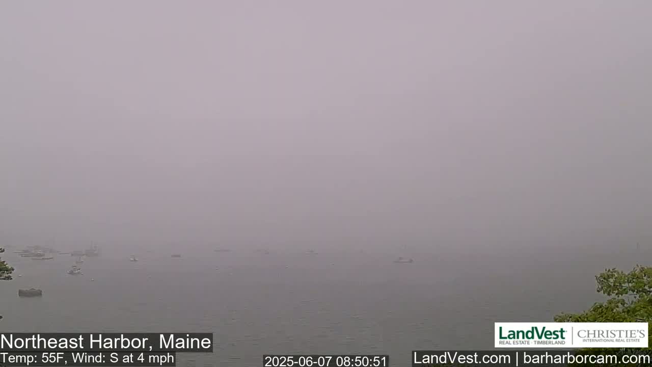 A foggy harbor scene shows several boats scattered across a calm body of water under a gray sky.
