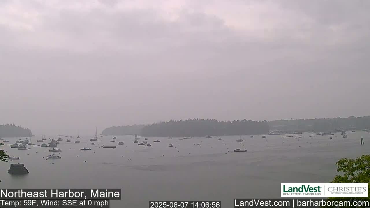 Numerous boats are scattered across a calm, hazy harbor, with a tree line visible in the background under an overcast sky.