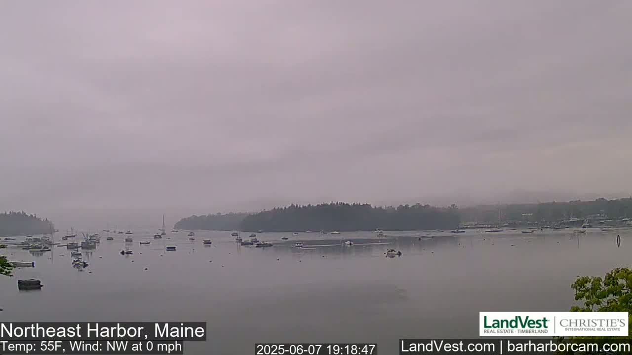 A calm, overcast day shows numerous boats scattered across a harbor, with a tree-lined shoreline in the background.