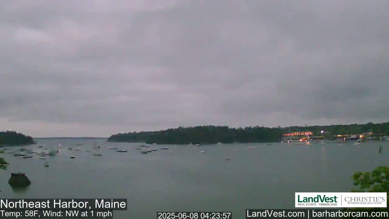 A calm body of water with numerous small boats scattered across its surface is surrounded by dark green trees under an overcast sky.