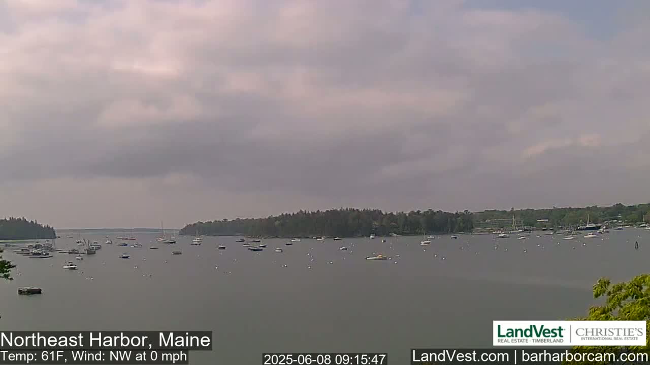 A calm harbor with numerous boats under an overcast sky.