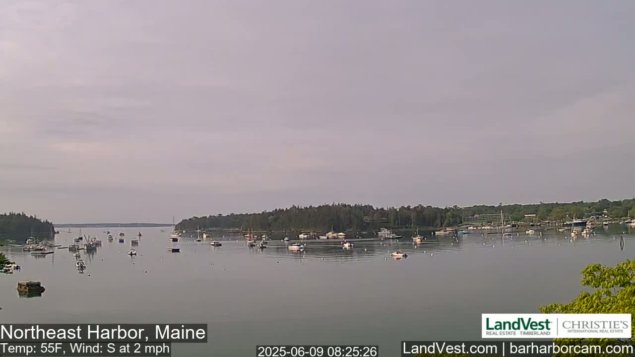 Numerous boats are moored in a calm harbor under a light, overcast sky.