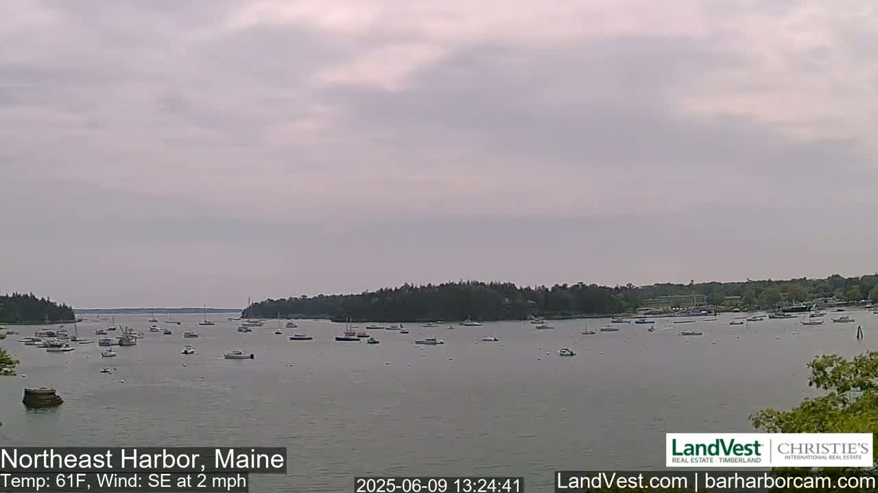 Numerous boats are anchored in a calm harbor under an overcast sky.