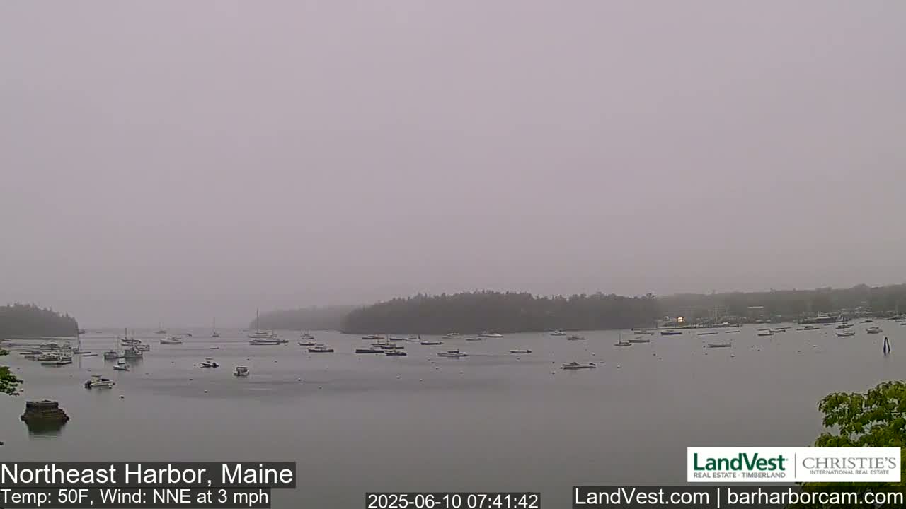 A foggy harbor scene shows numerous boats moored in calm water, with a shoreline of trees visible in the distance under an overcast sky.