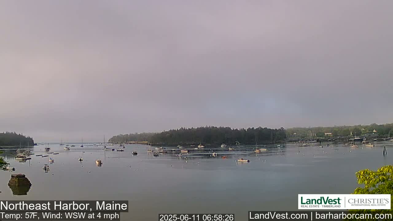 A calm harbor filled with numerous boats is seen under an overcast sky.