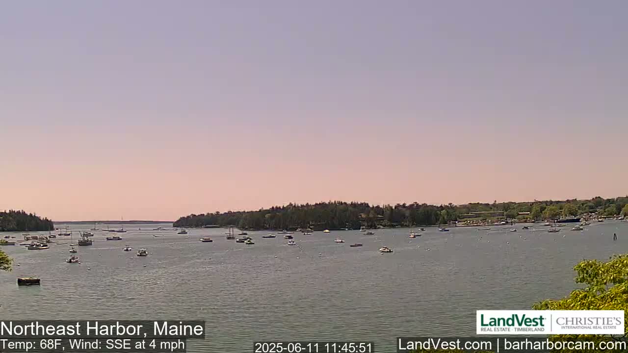 Numerous boats are scattered across a calm harbor, under a pale pink sky, with tree-lined shores in the background.