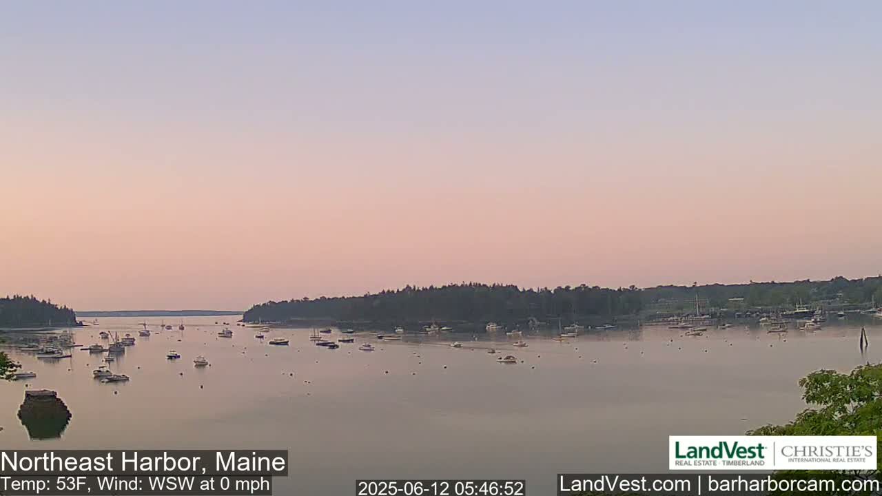 A calm harbor at sunrise, with numerous boats scattered across its still water, is surrounded by tree-lined shores under a pale pink sky.