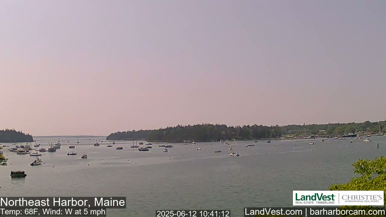 Numerous boats are scattered across a calm harbor, under a pale, clear sky, with a background of green trees on the shore.