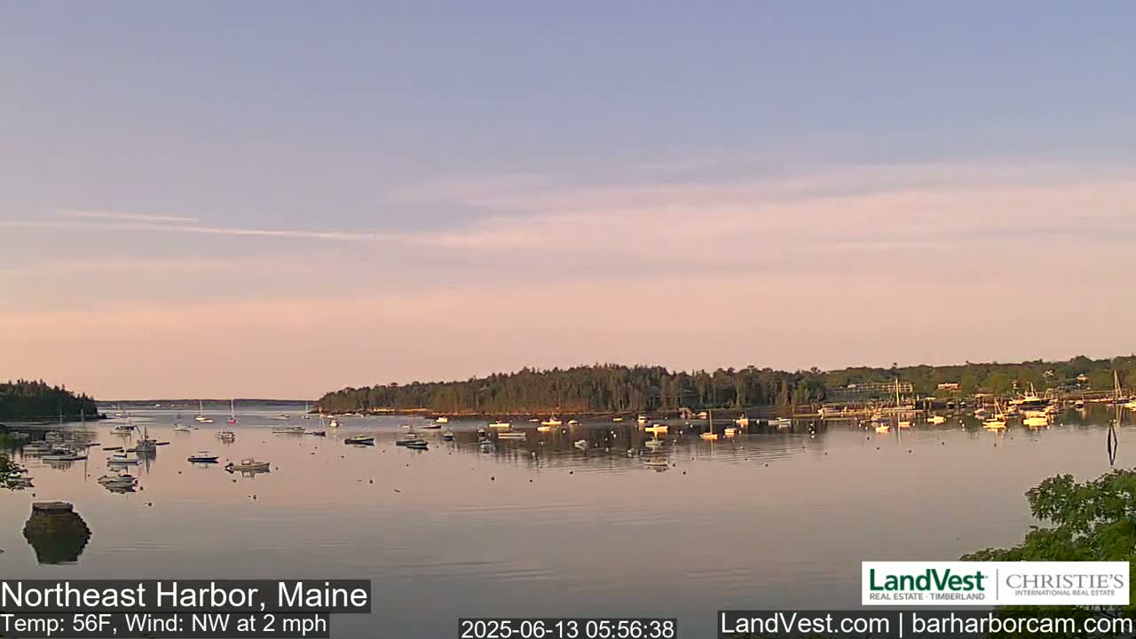 A calm harbor at dawn, dotted with numerous boats, under a pale pink sky.