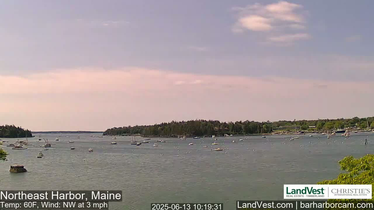 A calm harbor with numerous boats scattered across its surface under a mostly clear, pale sky.