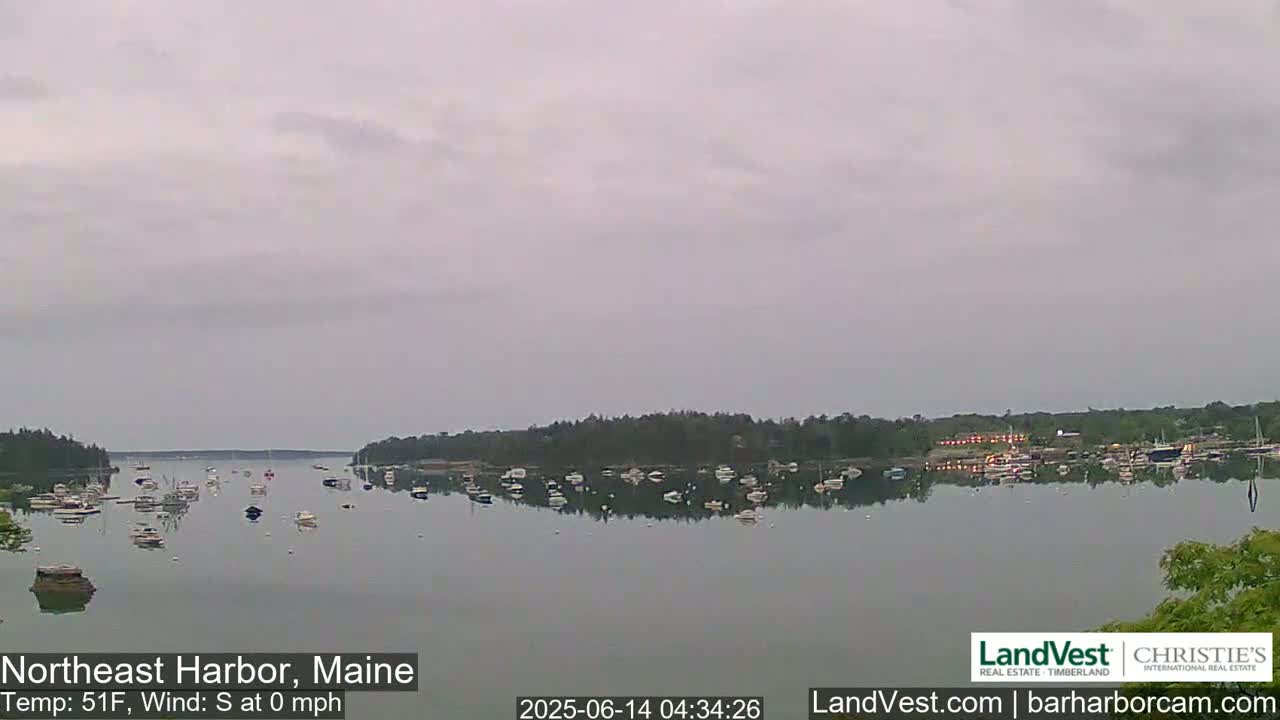 A calm harbor filled with numerous boats under an overcast sky.