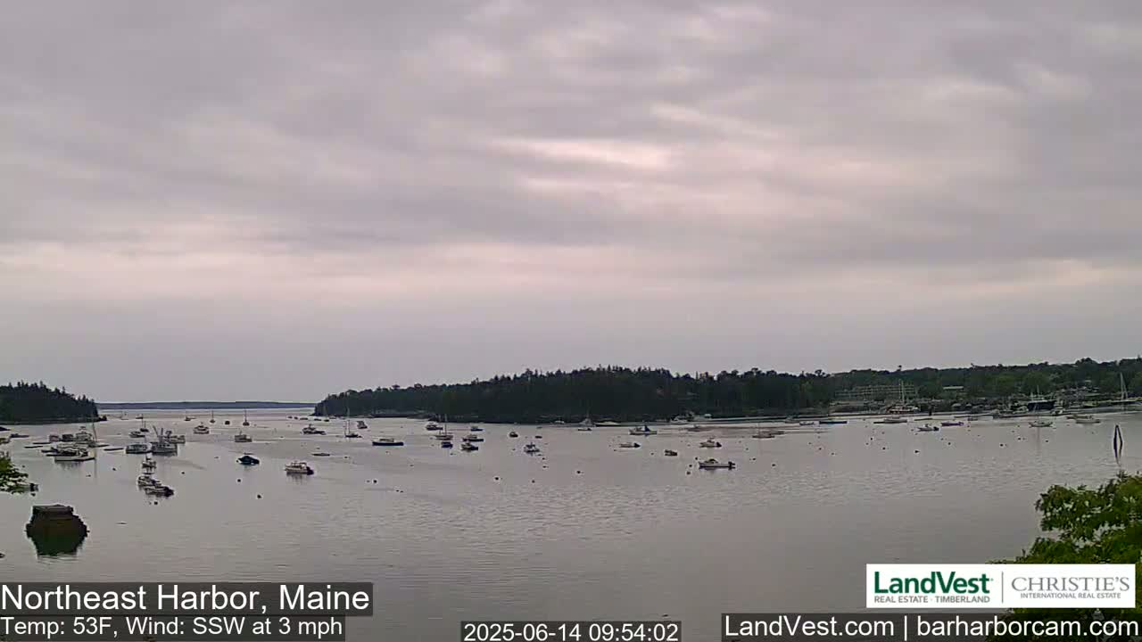 A calm harbor filled with numerous boats under an overcast sky.