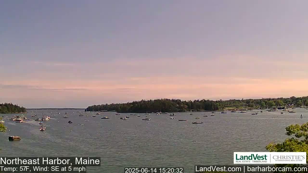A calm harbor filled with numerous boats under an overcast sky.