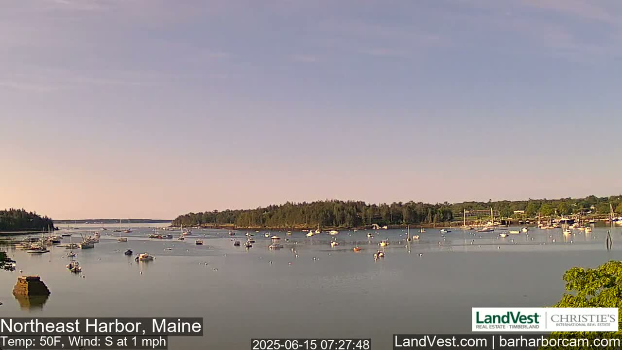 A calm harbor filled with numerous boats under a light, clear sky.