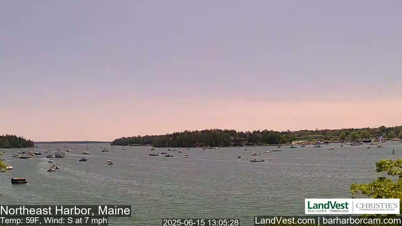 A calm harbor with numerous boats is seen under a pale, clear sky.