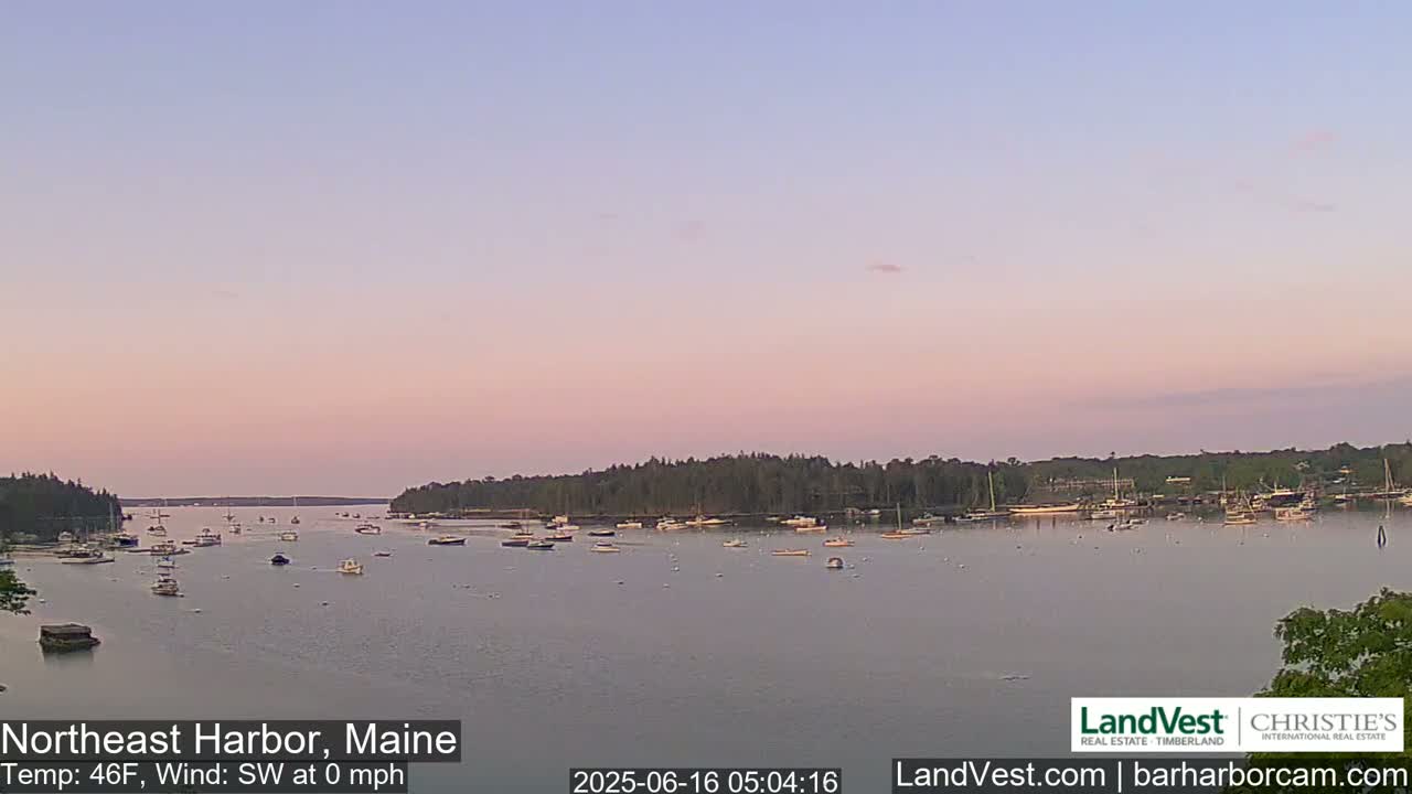 A calm harbor filled with numerous boats at sunset under a pale pink and purple sky.
