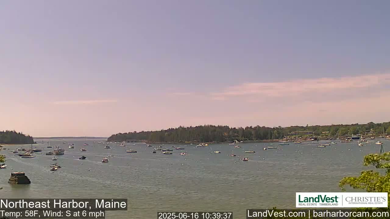 A calm harbor filled with numerous boats under a mostly clear, light-blue sky.
