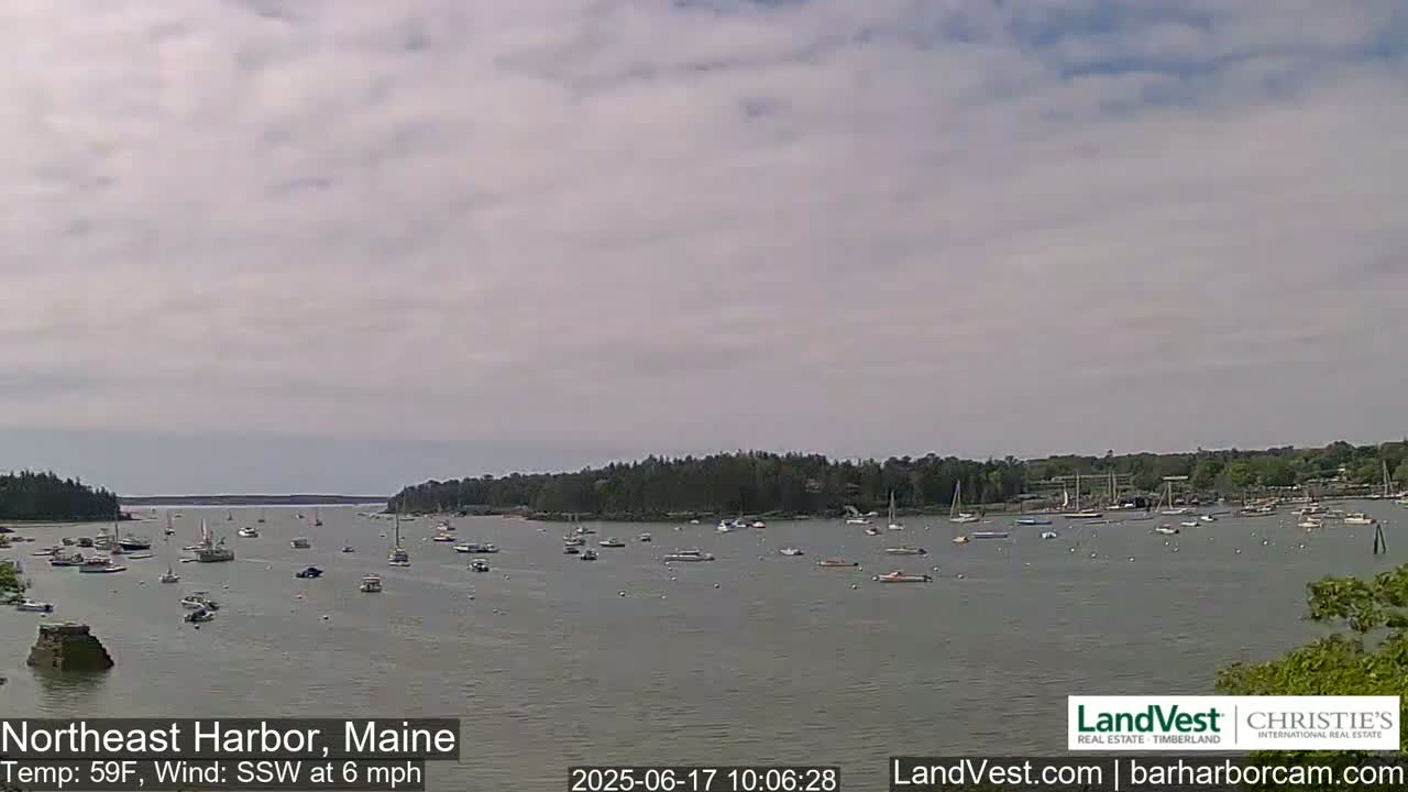 Numerous boats are scattered across a calm harbor under an overcast sky.