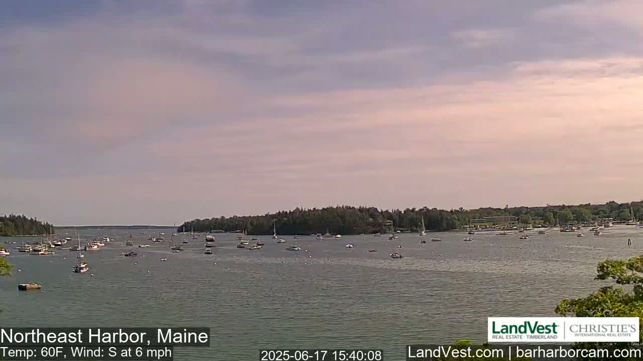 A calm harbor filled with numerous boats under a pale, cloudy sky.