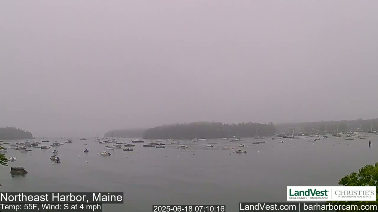 A hazy harbor filled with numerous boats under a gray sky with a south wind at four miles per hour.