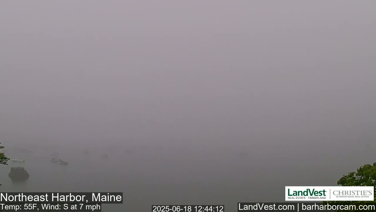 A foggy harbor scene is visible with a few indistinct boats and land in the distance, under a gray sky.
