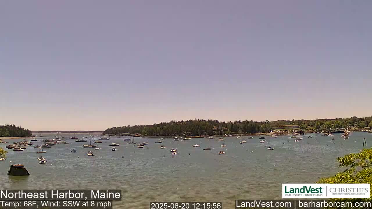 A calm harbor filled with numerous boats under a clear, light-blue sky.