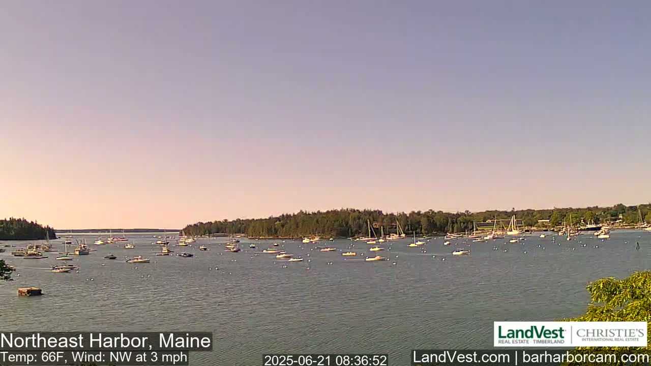 Numerous boats are moored in a calm harbor under a clear, light-pink sky.