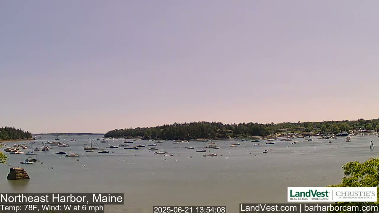 A calm harbor with numerous boats and a tree-lined shore under a clear, light-blue sky.