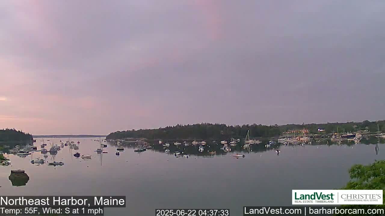 Numerous boats are moored in a calm harbor under a pale, overcast sky.
