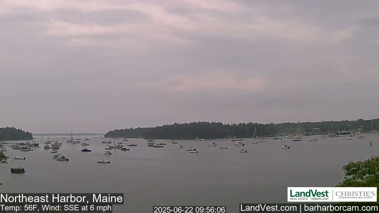 Numerous boats are moored in a calm harbor under an overcast sky.