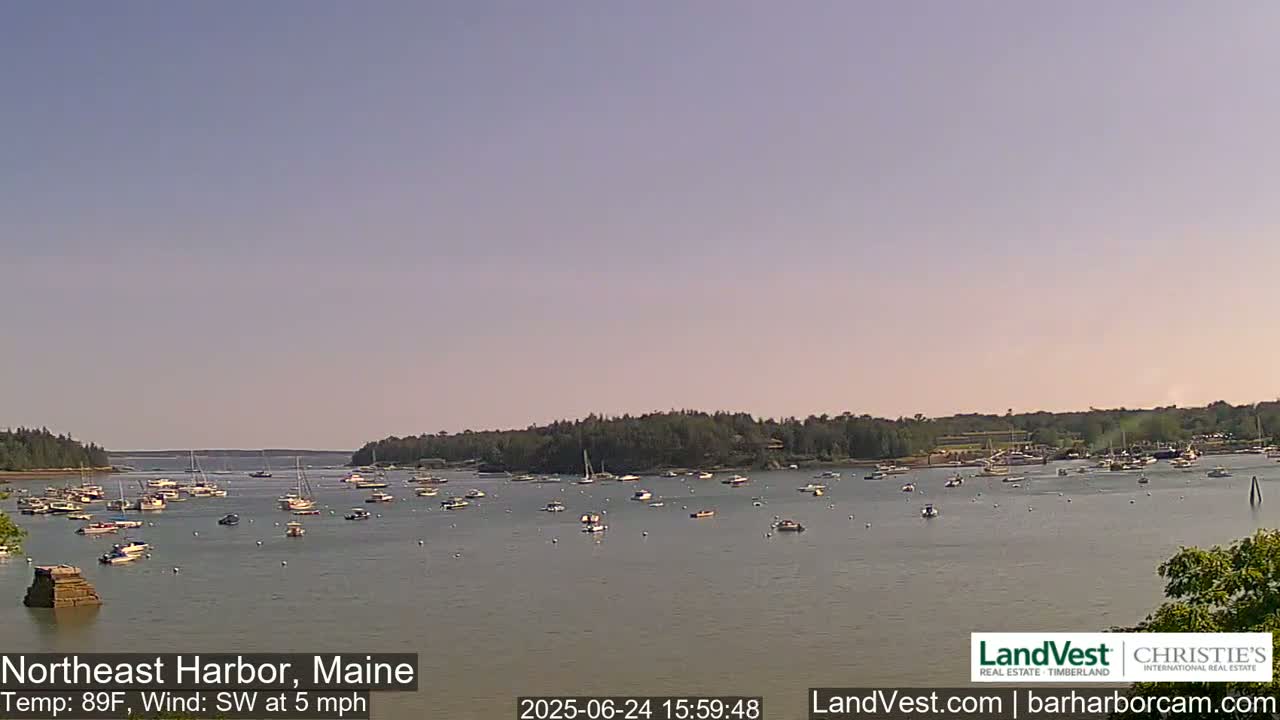 A calm harbor filled with numerous boats under a clear, light-blue sky.