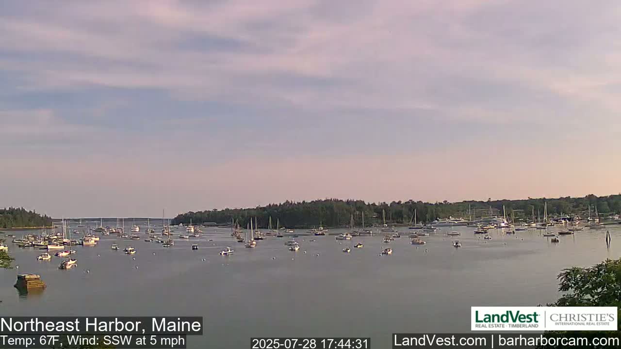 Numerous boats are moored in a calm harbor under a partly cloudy sky.