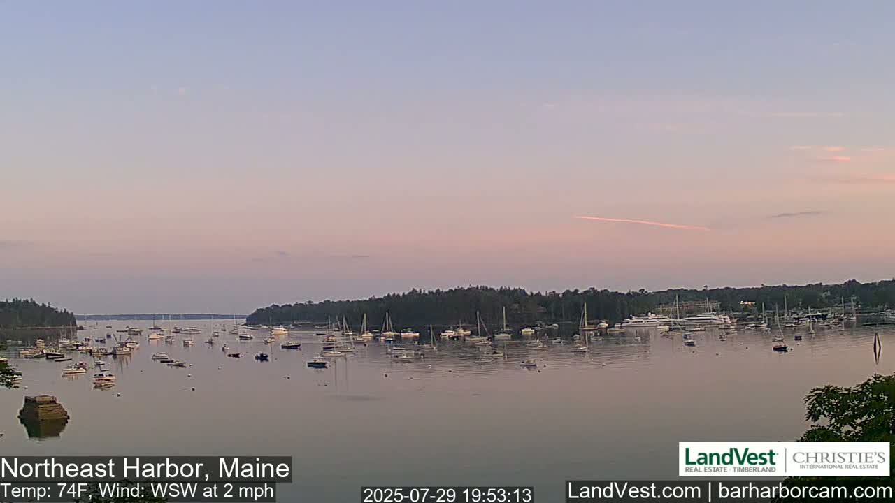 Numerous boats are moored in a calm harbor under a partly cloudy sky.