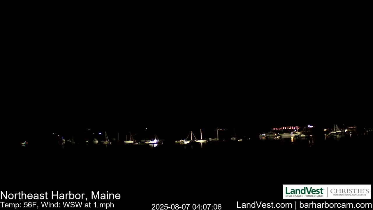 A nighttime harbor scene shows several boats at dock, under a dark sky with a calm, 1 mph wind and a temperature of 56°F.