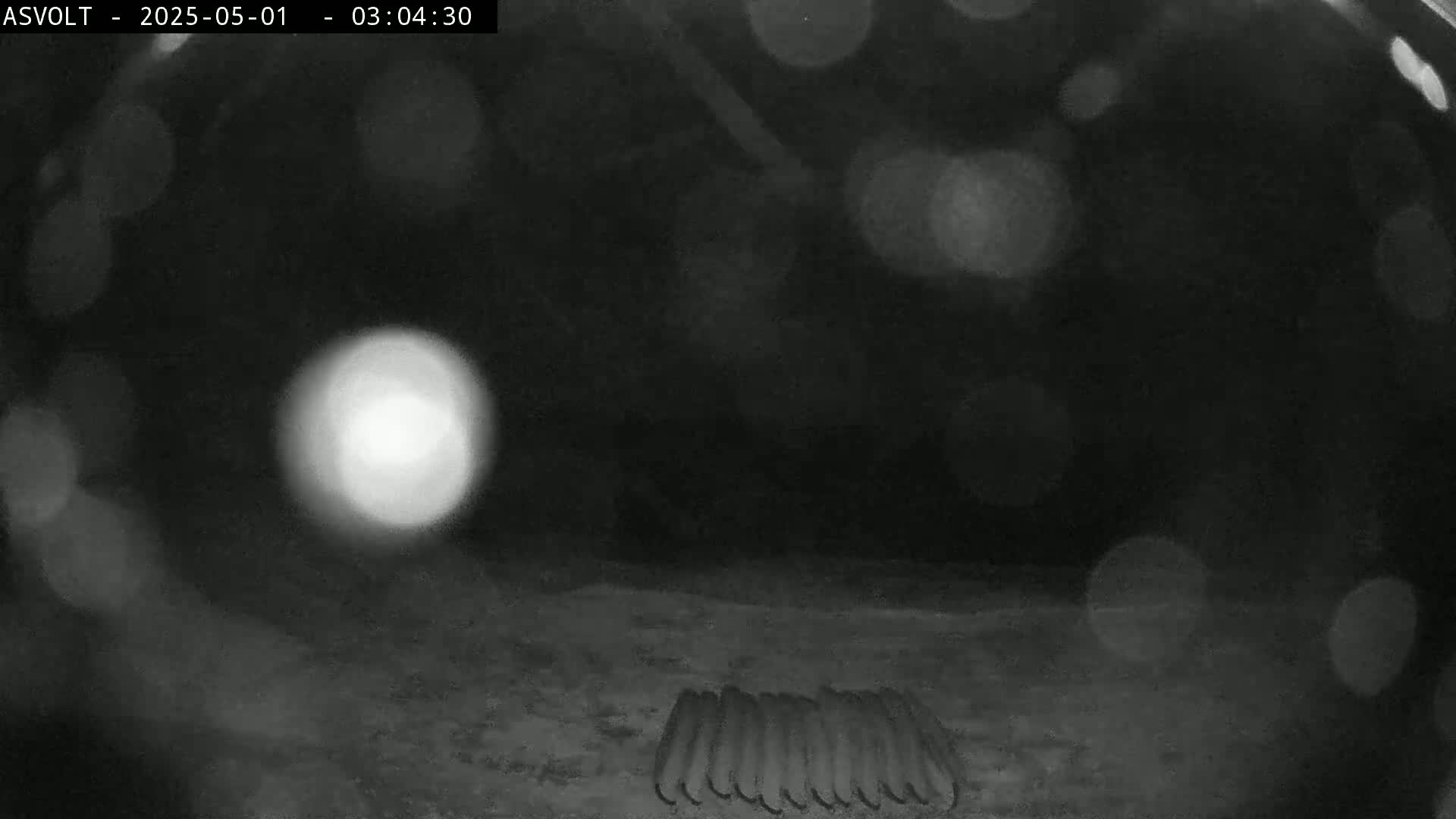 A blurry, nighttime image shows a cluster of cylindrical objects on the ground, illuminated by a bright light source.