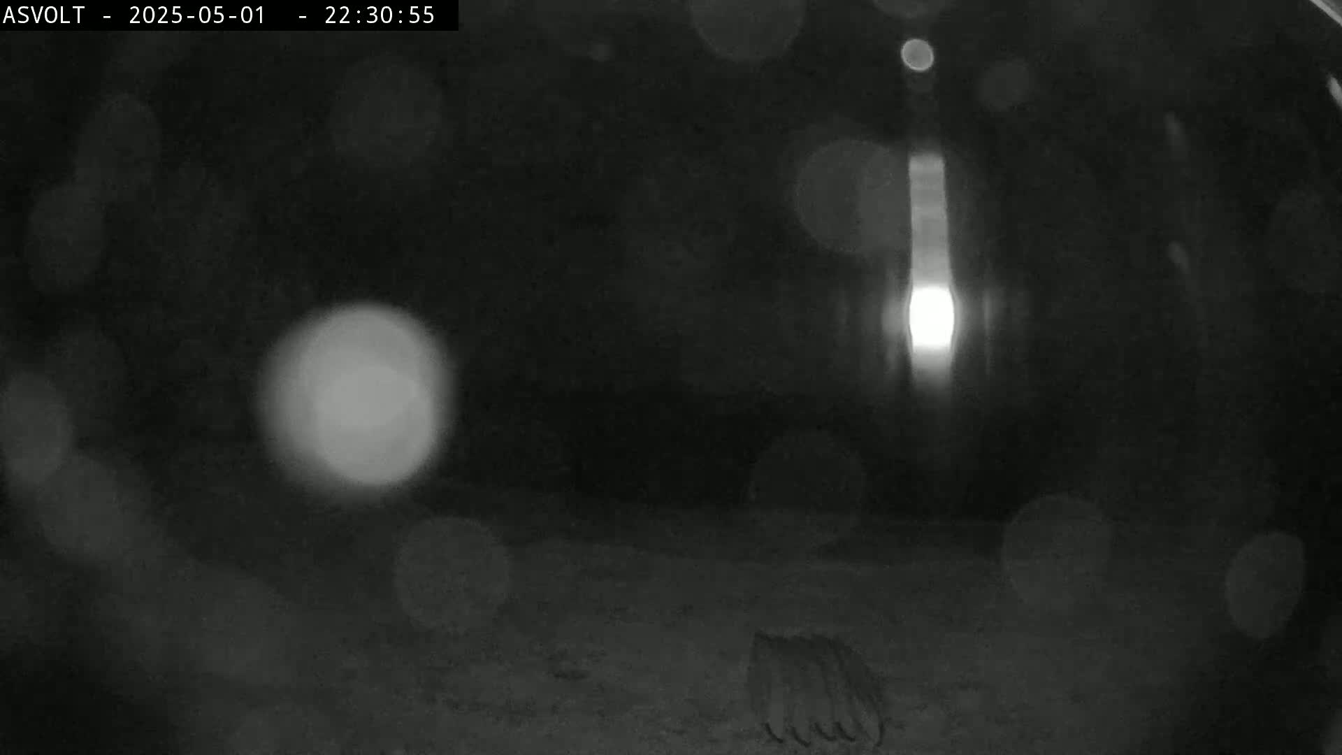 A blurry, nighttime image shows indistinct shapes and bright lights in the distance.