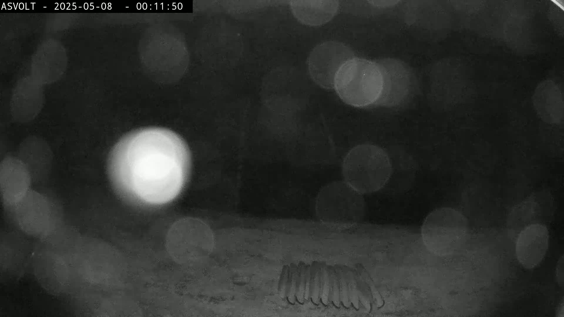 A blurry nighttime image shows out-of-focus lights and a row of objects on the ground.