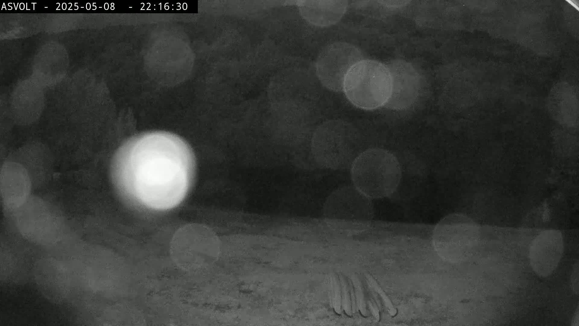 A blurry, nighttime image shows a bright light and indistinct objects on the ground, possibly in a cave or dark area.