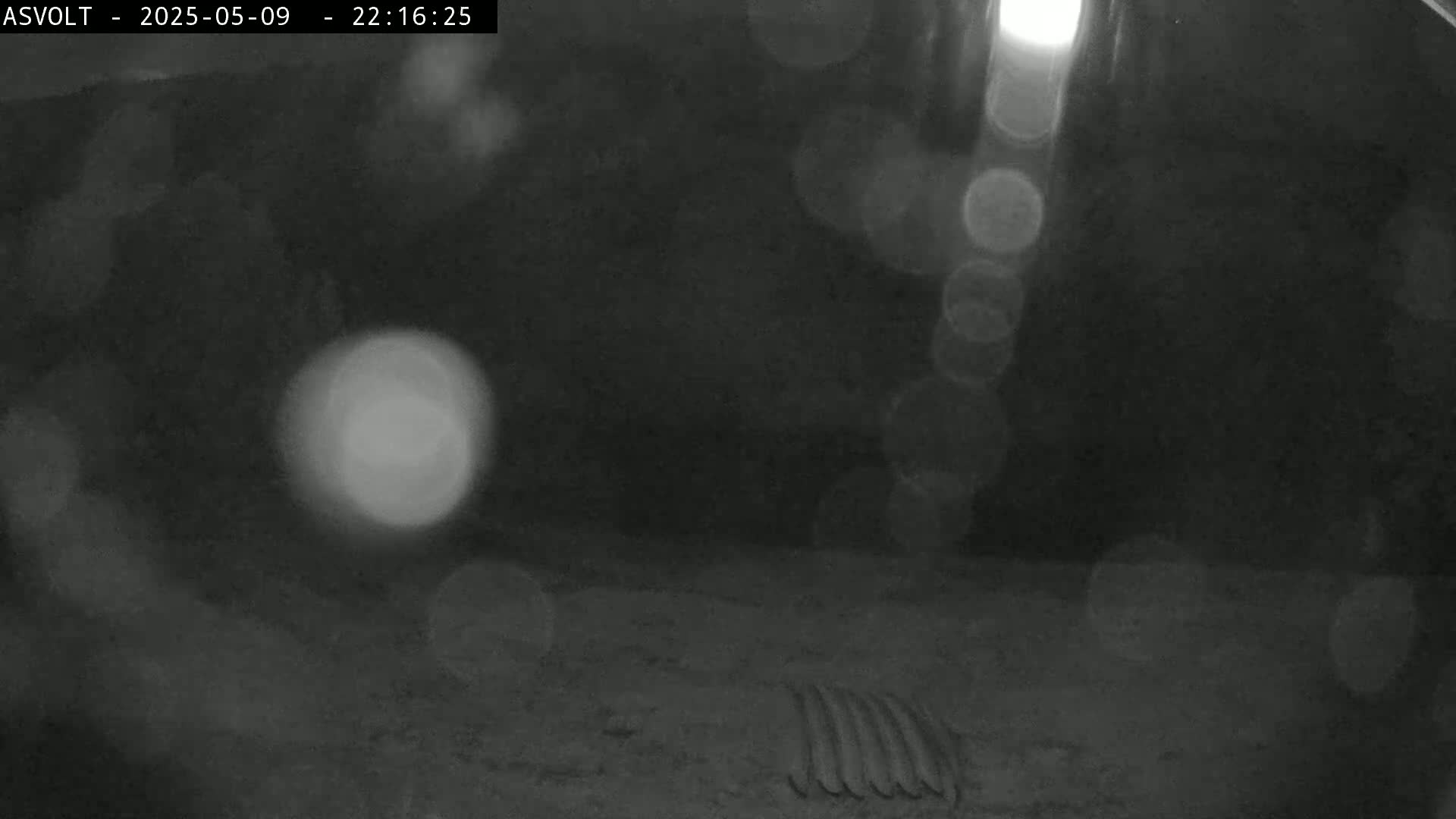 A dark, blurry image shows a ground surface with a ribbed object in the foreground and several out-of-focus lights in the background at night.