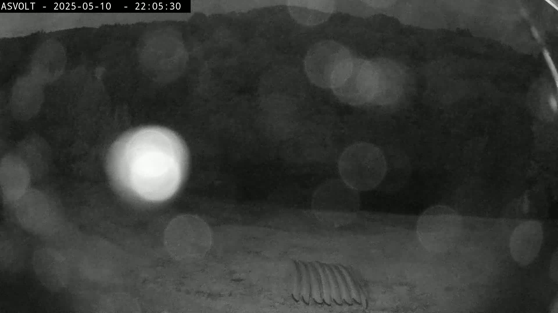 A nighttime, blurry image shows a bright light source in the distance, out-of-focus objects, and what appears to be a grate or similar object on the ground in the foreground.
