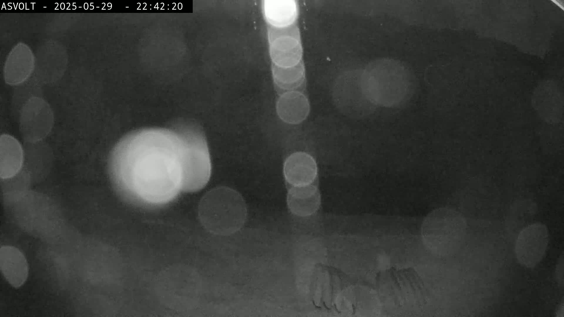 A nighttime, blurry image shows out-of-focus lights and indistinct shapes on the ground.