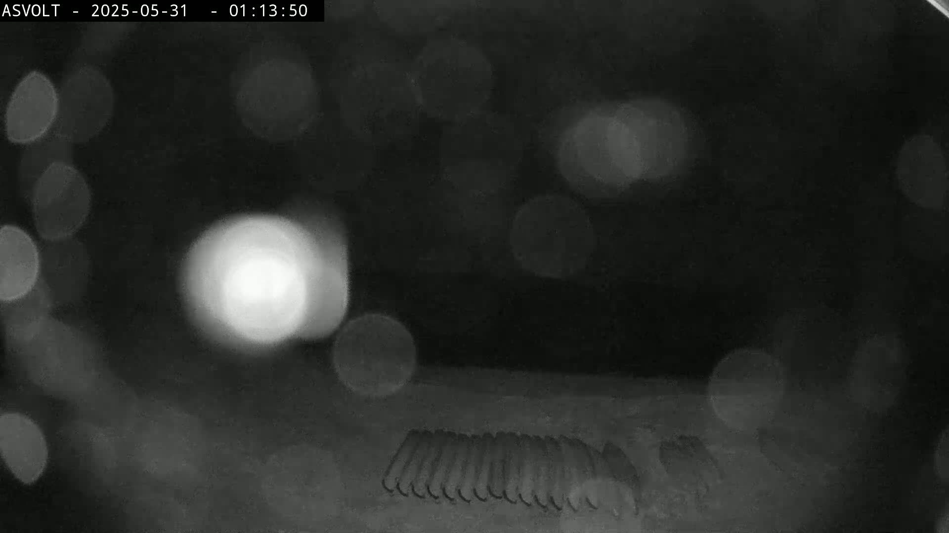 A blurry nighttime image shows a row of indistinct objects on the ground, illuminated by several out-of-focus bright lights.