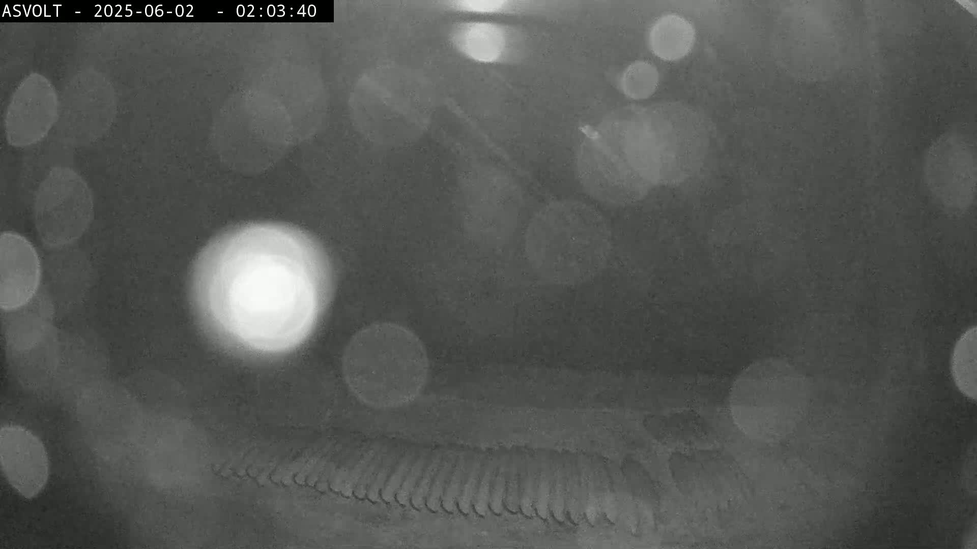 A blurry, nighttime grayscale image shows out-of-focus lights and a dark, textured surface with parallel ridges.