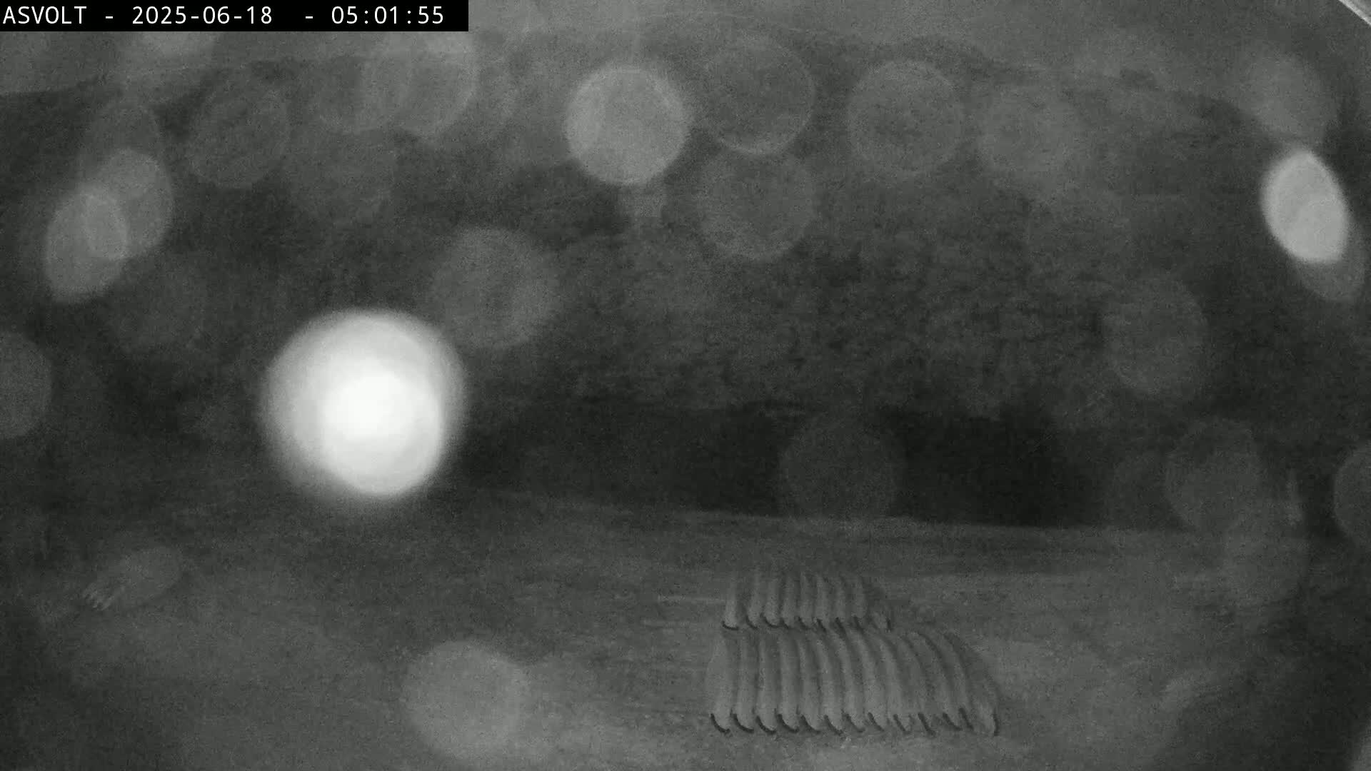 A low-light, blurry image shows several long, thin objects lying parallel on the ground, possibly in a dark warehouse or similar setting.