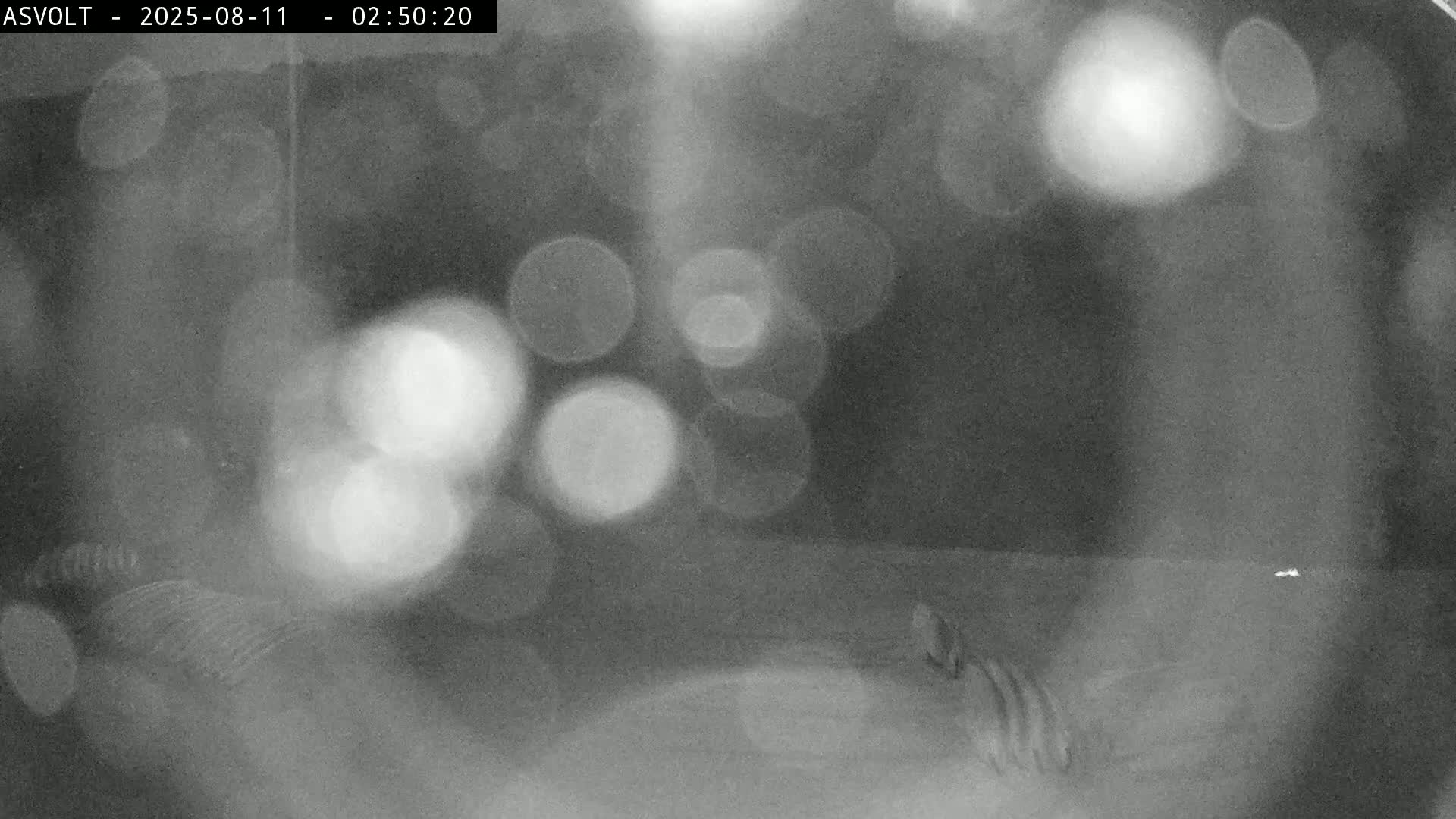 Montarnal Historic Village & Lot Riviere (River) Live Cam - Rodez, Aveyron, Occitanie, France